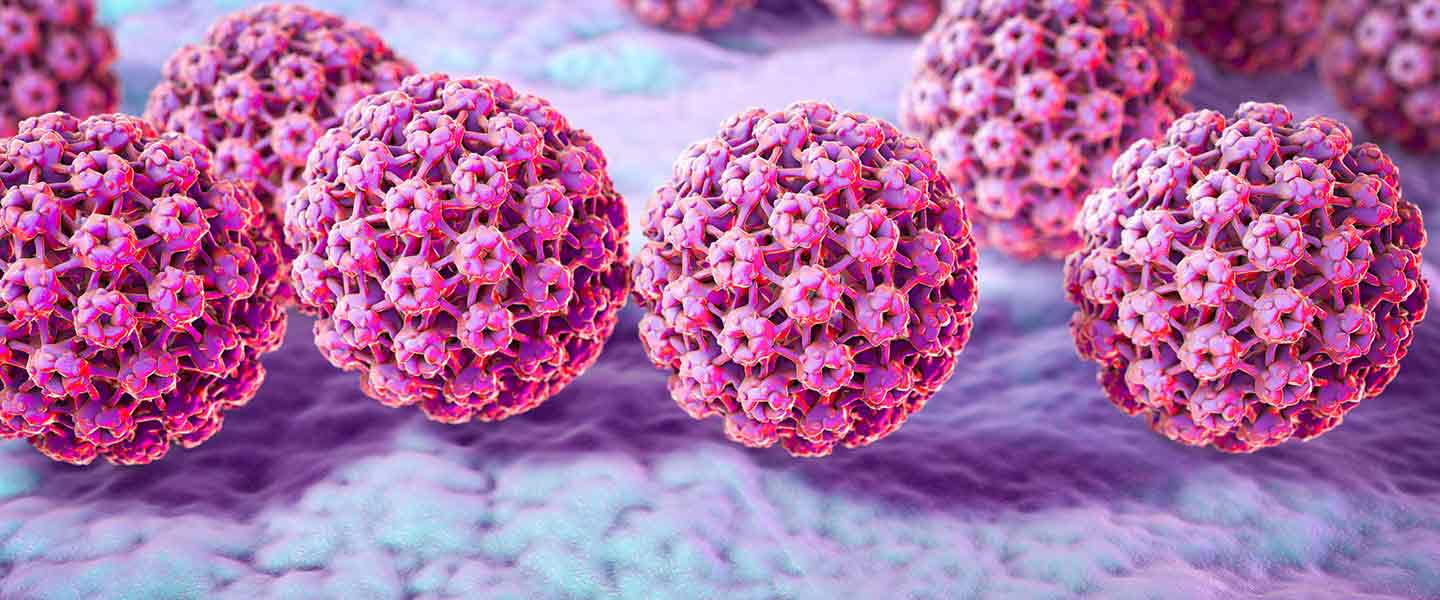 HPV Onkolojik Aktivite
